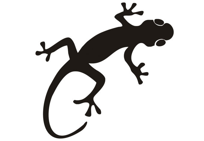 Kinderklettergruppe Gecko
